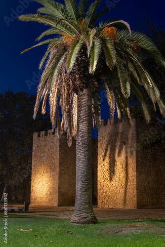 Palm Rree And Fortified Gate At Night In Lagos, Portugal photo