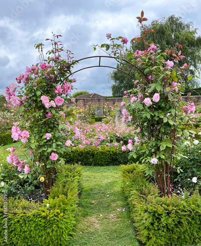 Photography Beautiful english roses in pink, yellow and orange in a garden setting with arbors and surrounding plants