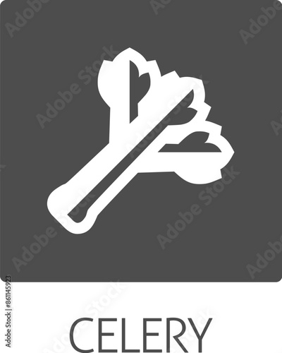 Celery vegetable food stylised icon concept. Possibly an icon for the allergen or allergy.