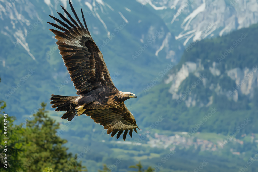 Golden eagle flying over mountain valley with open wings Golden eagle flying over mountain valley with open wings