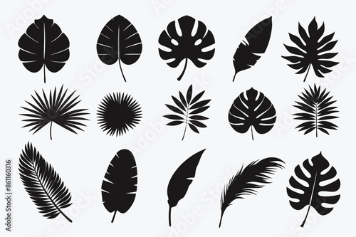 Tropical leaves abstract black flat silhouette set vector tropical, leaves, abstract, black, flat, silhouette, set, vector, drawing, clipart, icons, illustrations, graphics, outline, design, artwork