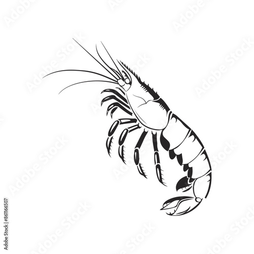 Weaver Crustacean silhouette black and white (Shrimp)
