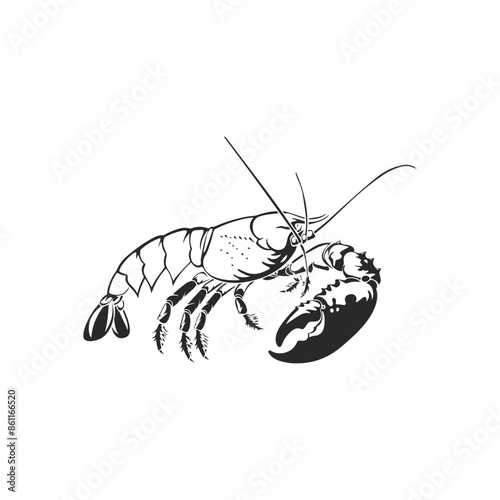 Weaver Crustacean silhouette black and white (Shrimp)