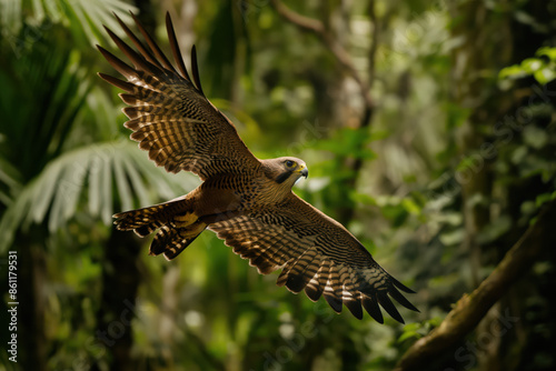 Falcon spreading its wings while flying in tropical forest