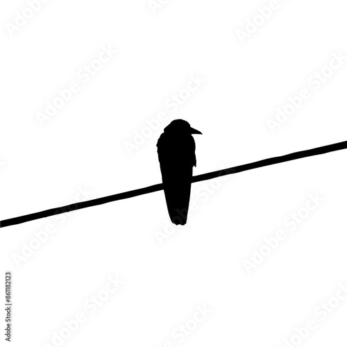 Silhouette of a crow on a wire