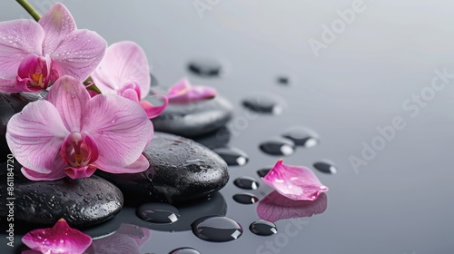 Pink Orchid and Water Drops on Wet Stones