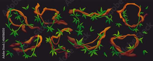 Vine jungle game. Plant liana. Creeper tree. Hanging branch. Rainforest climbing. Vegetation tropical grass. Foliage stem. Botanical ivy leaves. Twisted wild wood. Vector greenery natural elements set