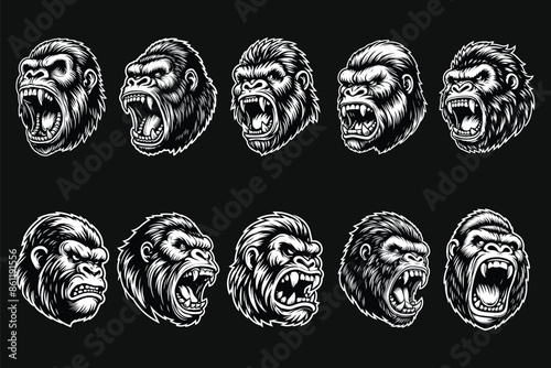 Dark Art Angry Beast Head Black and White Illustration