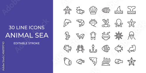 Animal sea icon set vector illustration stroke editable. fish, shell, starfish and more