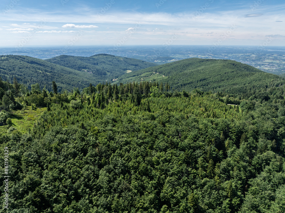 Fototapeta premium Drone fly above green mountains in summer. Polish green mountains and hills aerial drone photo. Drone view in Beskid mountains, Blatnia. Summer green forest on Blatnia. Beskid mountains in Jaworze.