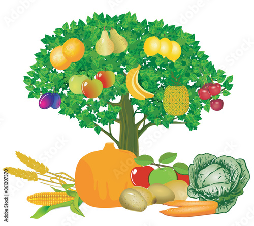 Baum mit Früchten und Gemüse, freisteller Illustration
