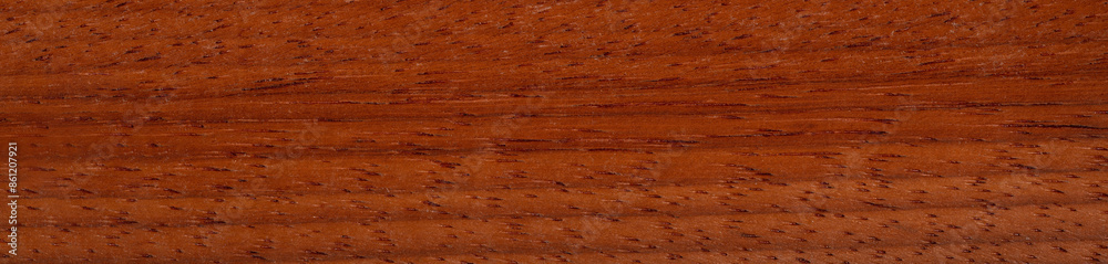 Close-up of exquisite paduca veneer, a symphony of natural elegance and warmth Close-up of exquisite paduca veneer, a symphony of natural elegance and warmth