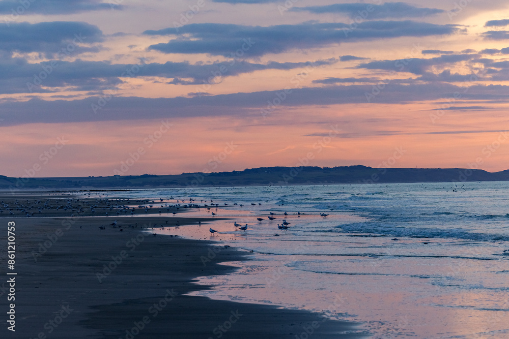 Obraz premium Serene twilight on the coast sun setting over calm beach, sea birds, gentle waves, picturesque sky