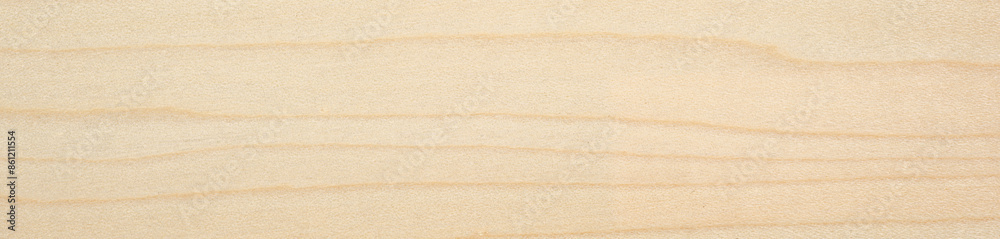 Fototapeta premium Close-up of European maple veneer, a refined wooden surface with natural beauty