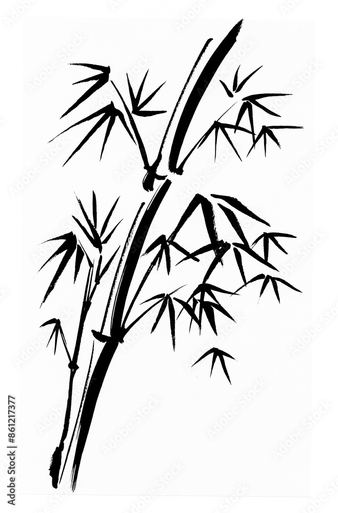 Obraz premium 竹のイメージ手描きイラスト