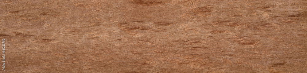 Pommele eucalyptus veneer with distinctive swirling grain patterns
