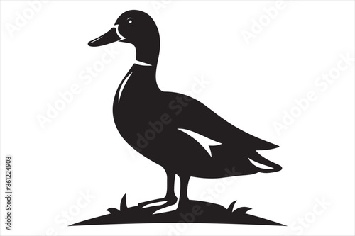 Duck Vector silhouette image