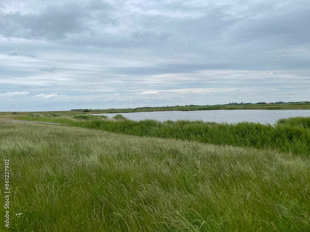 Serene landscape of a grassy field with a lake under a cloudy sky. Jutland, Denmark Serene landscape of a grassy field with a lake under a cloudy sky. Jutland, Denmark