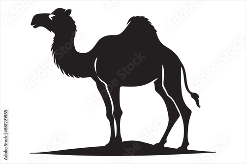 Camel Vector silhouette image