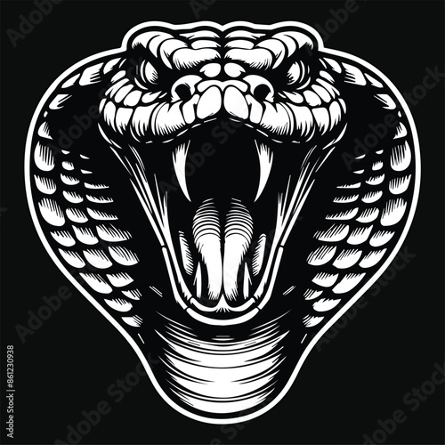 Dark Art Angry Cobra Snake Beast Head Black and White Illustration