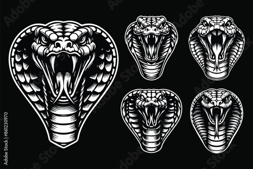 Dark Art Angry Cobra Snake Beast Head Black and White Illustration