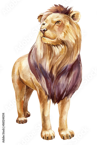 Photography Realistic lion on isolated background