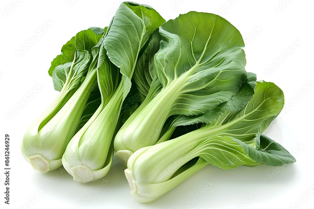 Fresh Green Bok Choy Perfectly Isolated on Clean White Background Fresh Green Bok Choy Perfectly Isolated on Clean White Background
