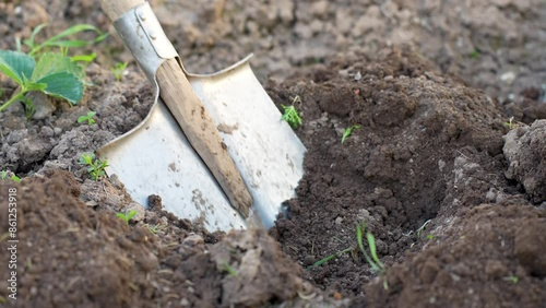 Wallpaper Mural Close-up of the gardener digs the garden with a shovel for planting.Gardening and farming Torontodigital.ca