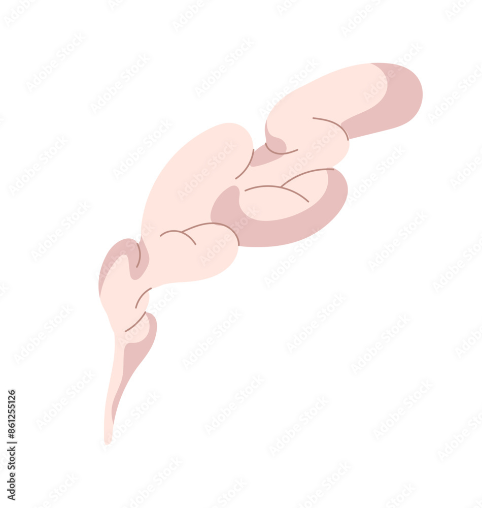 Soft cloud of cigarette fume flies in air. Cig smoke with abstract shape. Silhouette of smog stream trail. Comic track of vapor, vapour motion. Flat isolated vector illustration on white background Soft cloud of cigarette fume flies in air. Cig smoke with abstract shape. Silhouette of smog stream trail. Comic track of vapor, vapour motion. Flat isolated vector illustration on white background