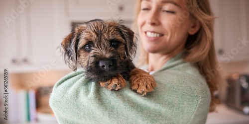 Photography Female Owner Holding And Cuddling Border Terrier Puppy At Home