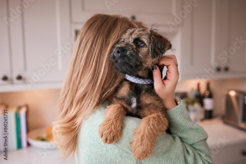Photos Female Owner Holding And Cuddling Border Terrier Puppy At Home
