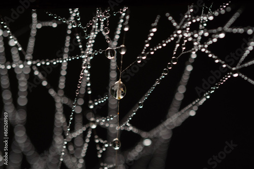 Water droplets on spider web in forests.