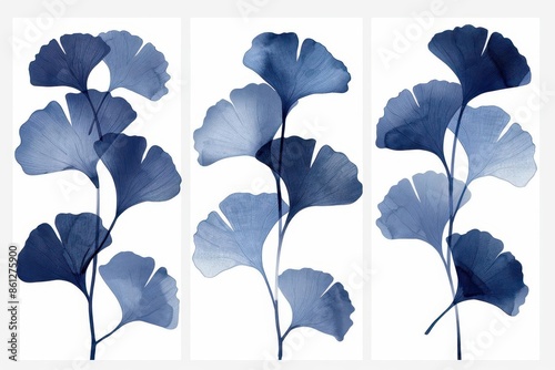 elegant triptych of ginkgo leaf silhouettes in various shades of blue minimalist botanical art with a japaneseinspired aesthetic perfect for modern interior decor photo