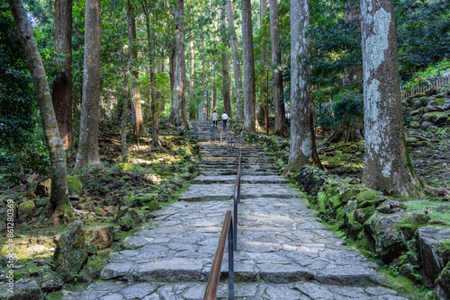 Cobblestone path through the forest of ancient cedars, part of the Kumano Kodo - Nakahechi Daimon-saka Pilgrim Route in Japan. photo