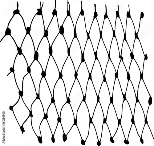 Fishing net