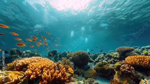 Wallpaper Mural Hard coral garden with fishes, under water scene. Underwater life landscape. Torontodigital.ca
