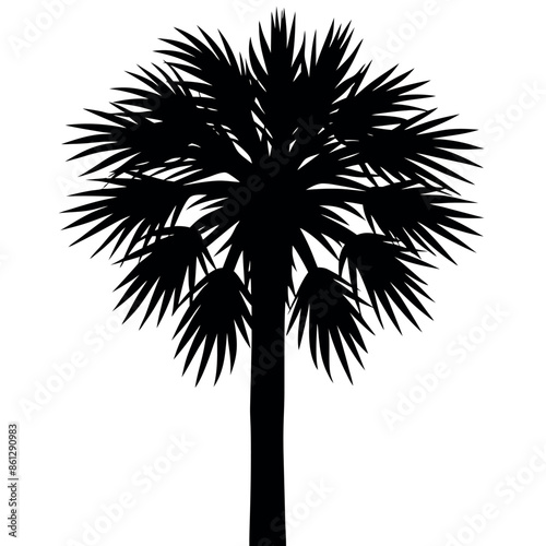 An assortment of tropical palmetto tree silhouettes
