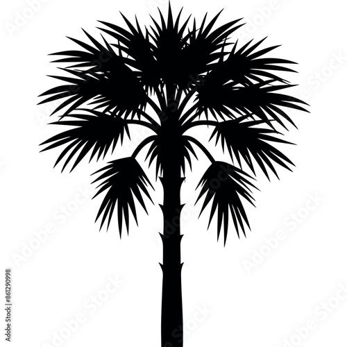 An assortment of tropical palmetto tree silhouettes
