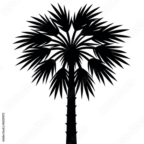 An assortment of tropical palmetto tree silhouettes
