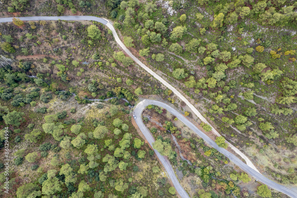 Forest landscape curved secondary road through the forest. Adventure and discovery
