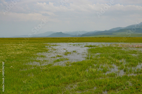 wetlands and grasslands in mountain valley near Saratovka village (Lori province, Armenia)
