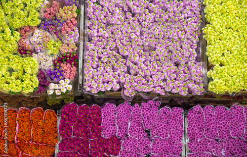 Colorful fresh cut flowers in Aalsmeer Royal flora Holland, background