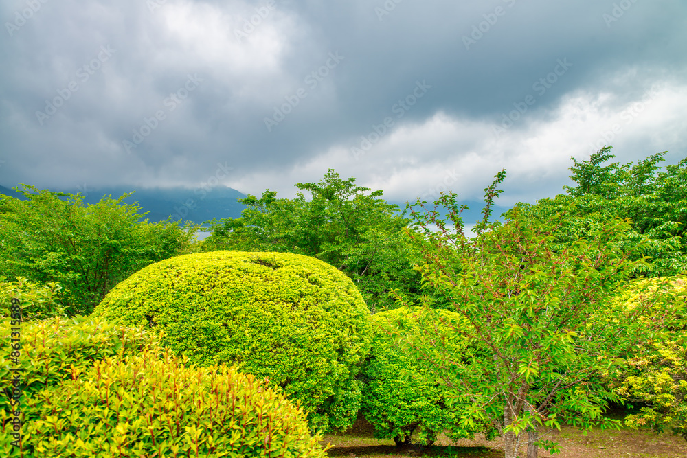 Fototapeta premium On-Shi Hakone Park, garden and plants. Japan