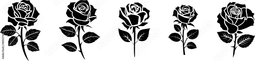 Fototapeta premium Set Of Black Roses (3)