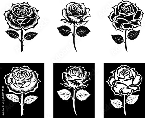 Set Of Black Roses (2)