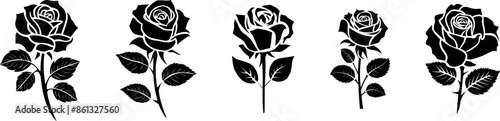 Set Of Black Roses (3)