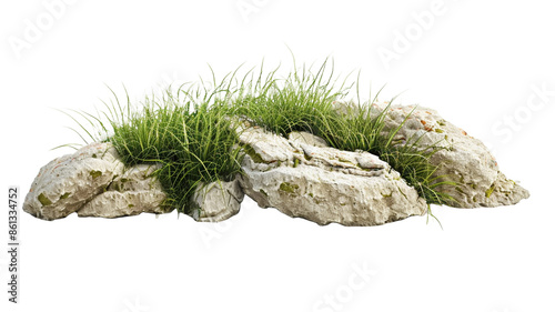 Grass fields meadow with rocks on transparent png background.

