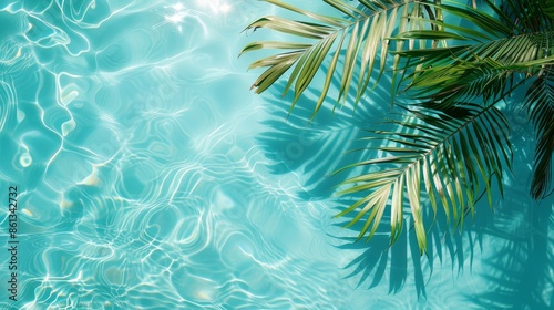 Top view of palm leaf on water background Tropical summer design inspiration 