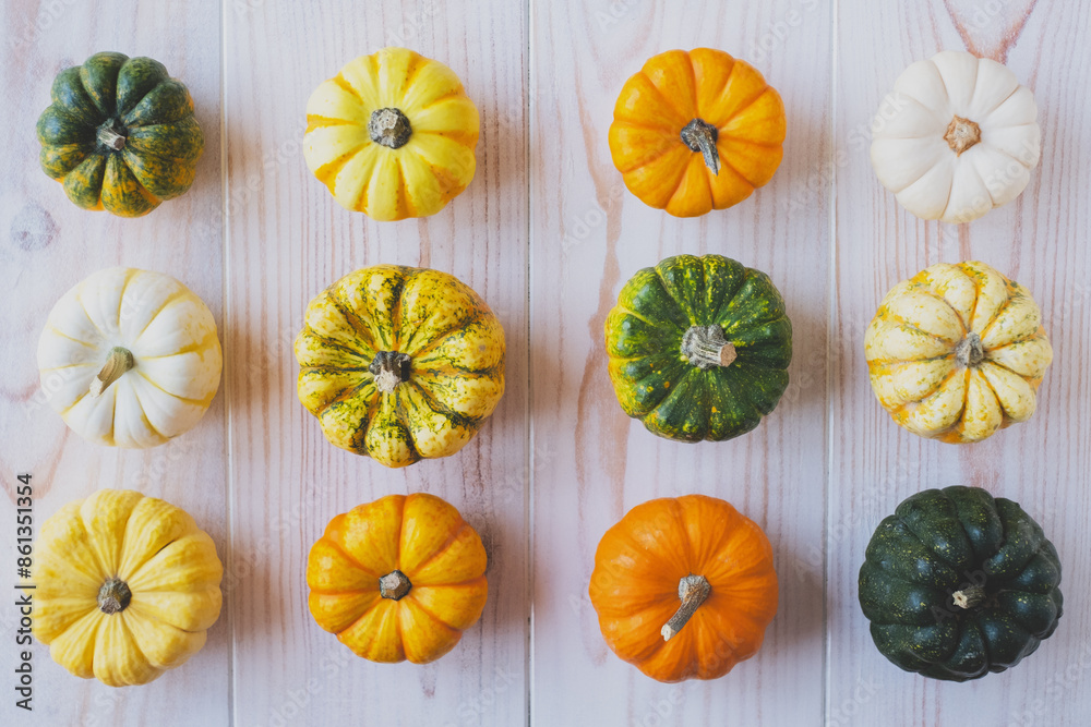 Cute colorful mini pumpkins on white wooden background, view from above, flat lay style. Autumnal composition for Halloween or Thanksgiving celebration.