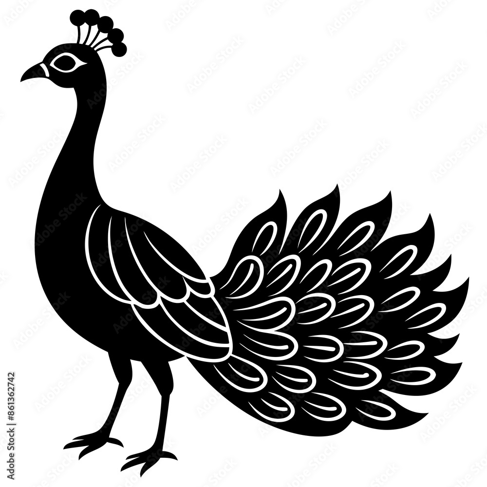 Fototapeta premium peacock isolated on white